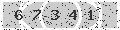 verify code