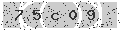 verify code