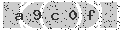 verify code