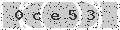 verify code