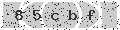 verify code