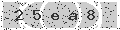 verify code