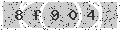 verify code