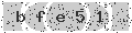 verify code