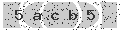 verify code