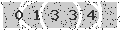 verify code