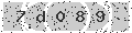 verify code