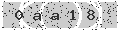 verify code