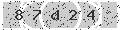 verify code