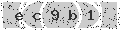 verify code
