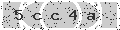 verify code