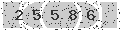 verify code