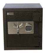 Platinum Director 2