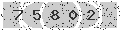 verify code