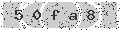 verify code